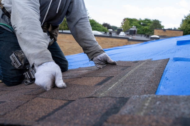 Best Roof Gutter Cleaning  in Montezuma, IA