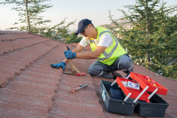 Roof Gutter Cleaning in Montezuma, IA