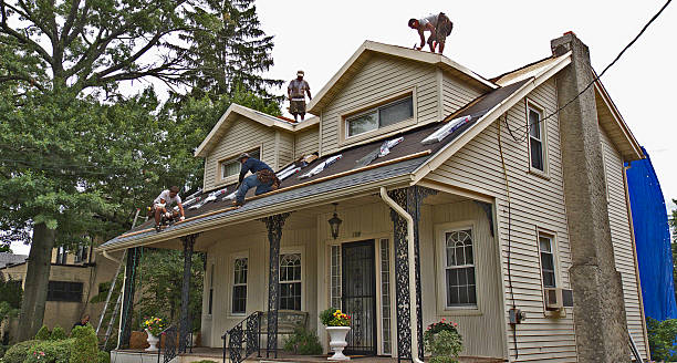 Best Shingle Roofing Installation  in Montezuma, IA